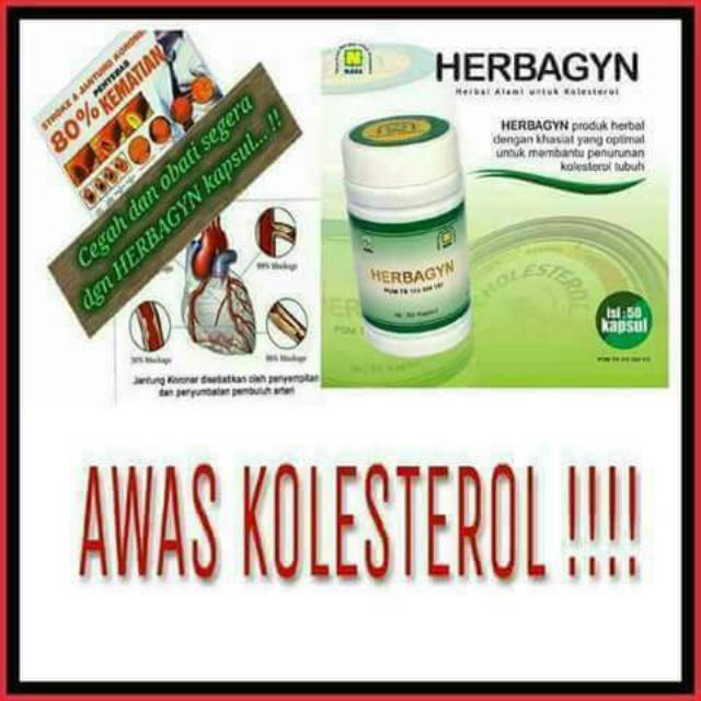HERBAGYN NASA obat herbal untuk kolesterol