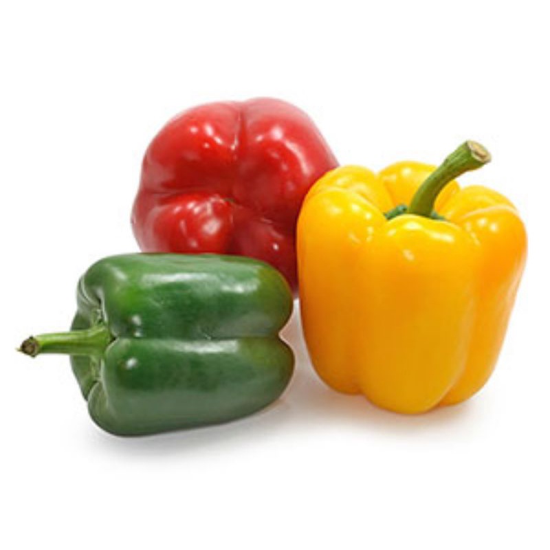 

sayuran paprika segar di jual / pcs frees di warunk juni