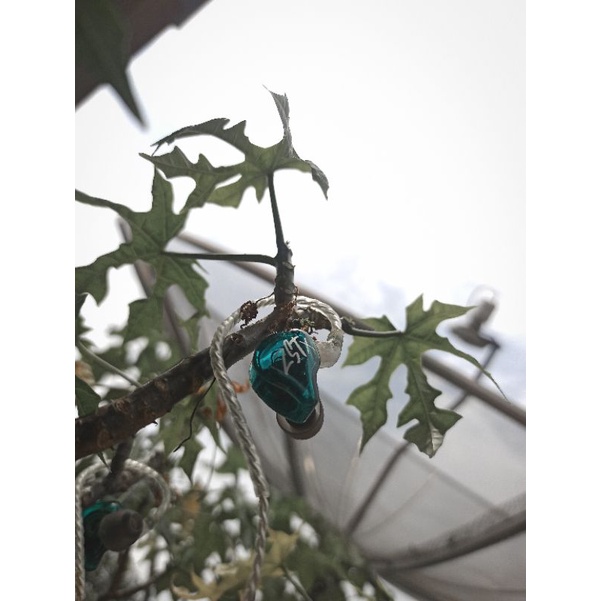 KZ ZST X / ZSTX Cyan Earphone Headset with mic In Ear Monitor Bekas