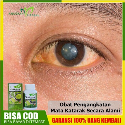 Obat Mata Katarak/Penglihatan kabur (Herbal Penghilang Katarak, Pandangan Samar Dan Berkabut - Kelor