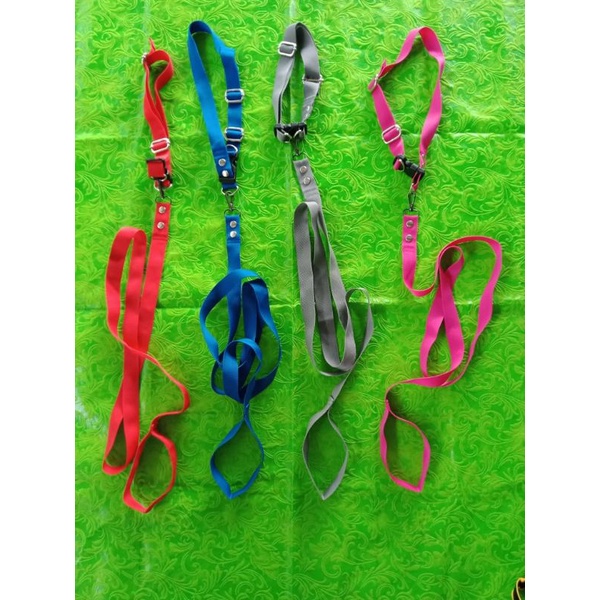 kalung dan tali tuntun kambing kecil