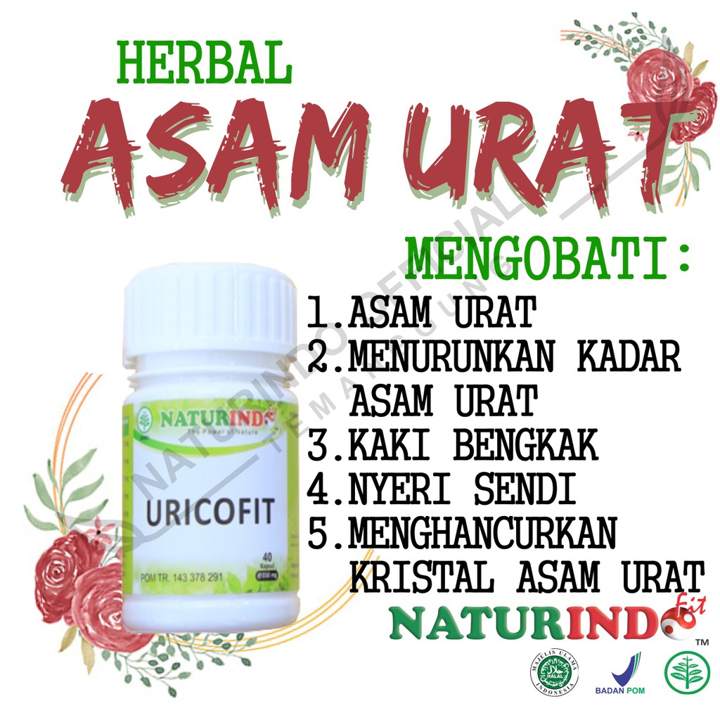 Jual Obat Asam Urat Ampuh Herbal Kaki Bengkak Nyeri Sendi Peluruh ...