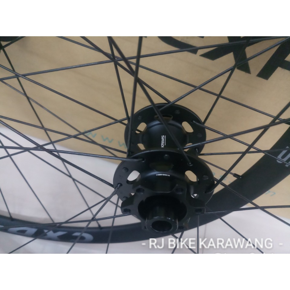 Wheelset Alexrims CXD4 Roadbike Disc Brake TA 12x142 XD Drive