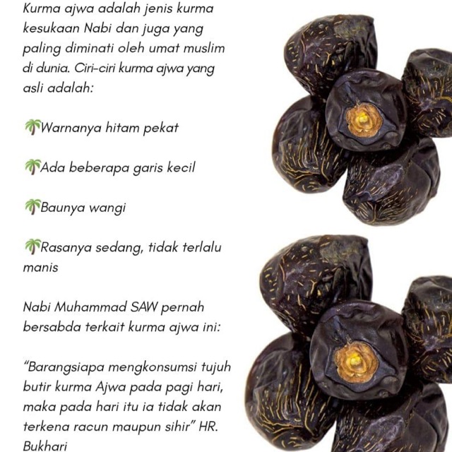 

Kurma Ajwa Premium