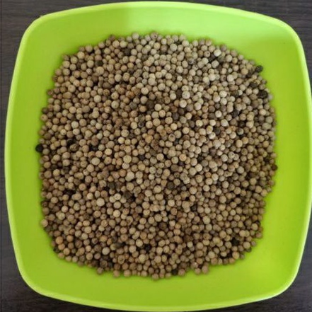 

Lada 250 gram / Lada Butir 250 gram - MEGA KEMIRI