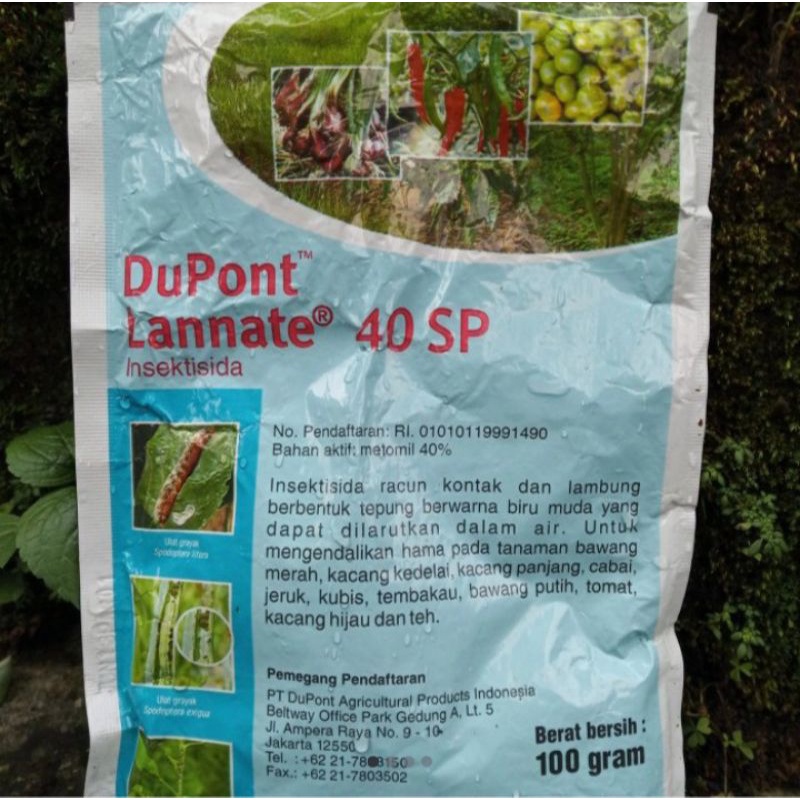 INSEKTISIDA DUPONT LANNATE BIRU 40SP 100GR