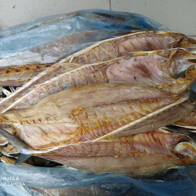 Jual Ikan Barakuda Asin 1kg | Shopee Indonesia