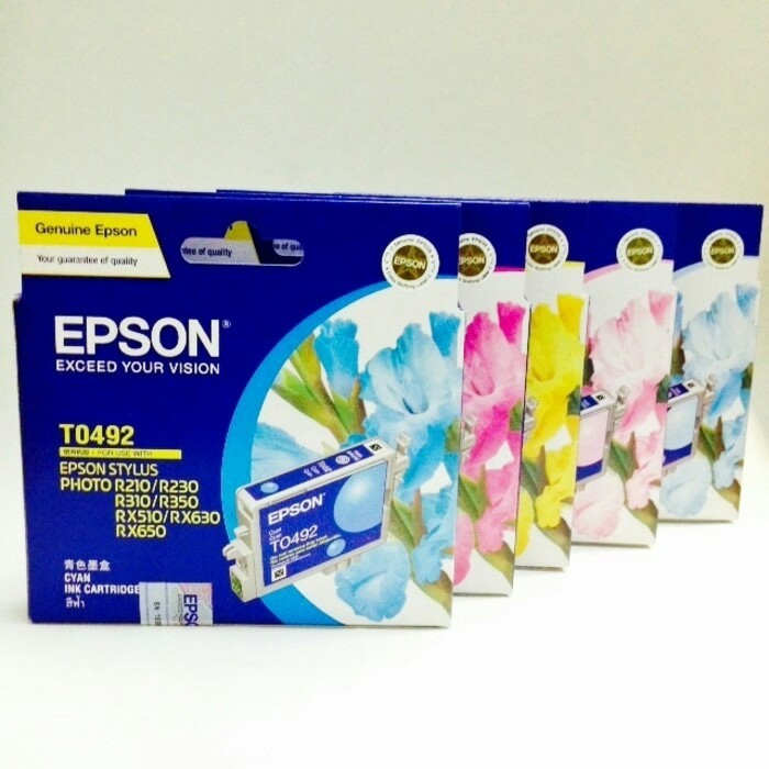 Tinta cartridge epson T0491 series R230 original lostpack tanpa dus