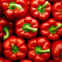 Benih Bibit Biji - Paprika Merah Red Star Sweet Bell Pepper F1 Hibrida Seeds