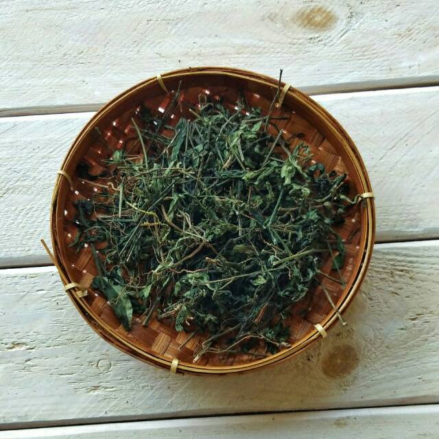 

Teh daun sambiloto