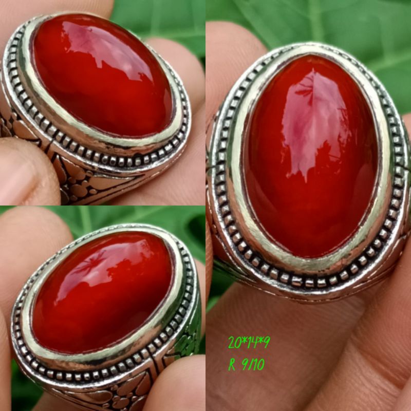 pandan merah size kantor