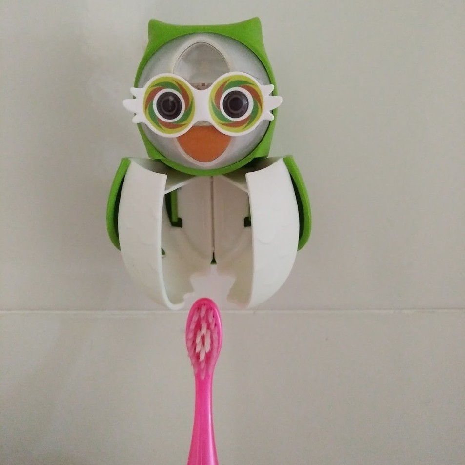 Flipper Toothbrush Cover + Timer Owl