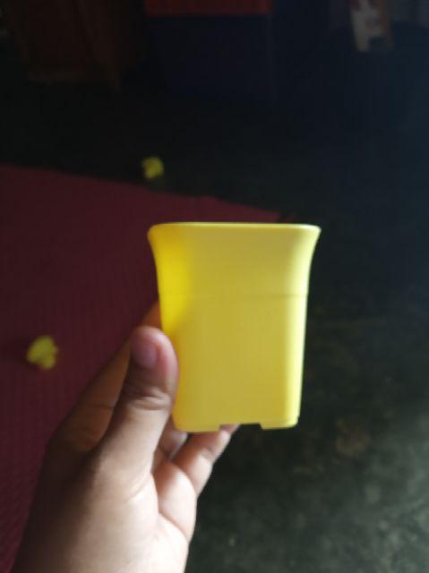Pot Bunga Tanaman Nkt Kotak 7 Cm