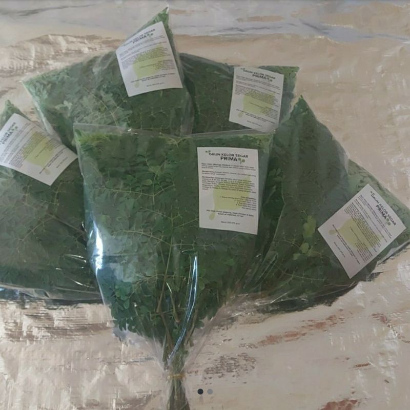 

Daun Kelor Segar ( Moringa Oleifera) kwalitas Premium ,bagus buat kesehatan tubuh