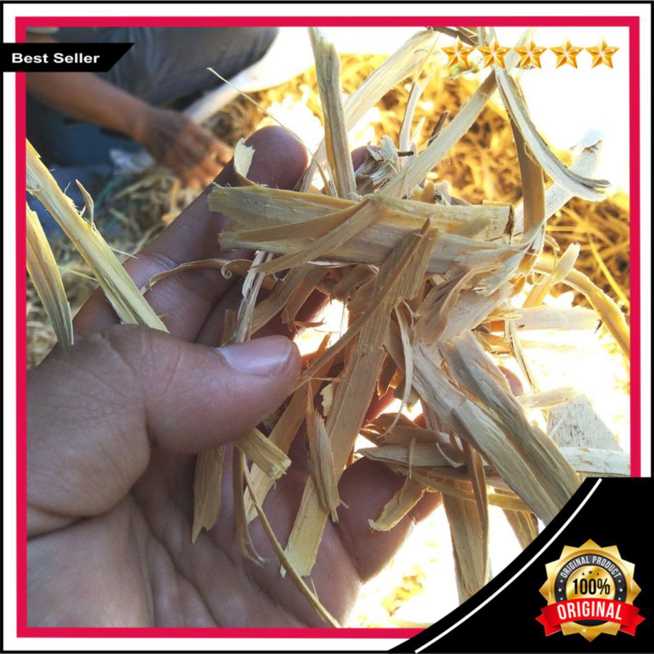 COD Herbal Doro Putih 1kg / Bidara Laut / Kayu Ular / Widoro