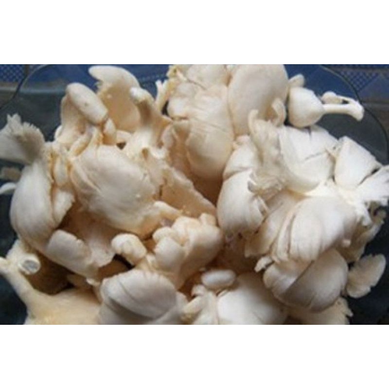 

Jamur Tiram Putih Segar 500 gram SAYUR GEDEBAGE PRAKTIS ONLINE BANDUNG