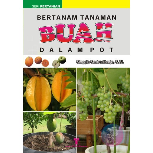 Bertanam Tanaman Buah dalam Pot