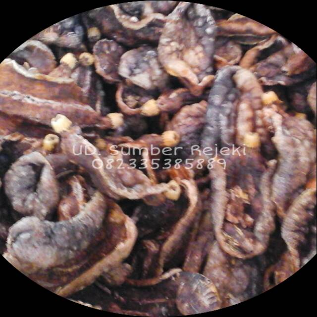

Teripang / Terung Goreng. Netto 50 gr