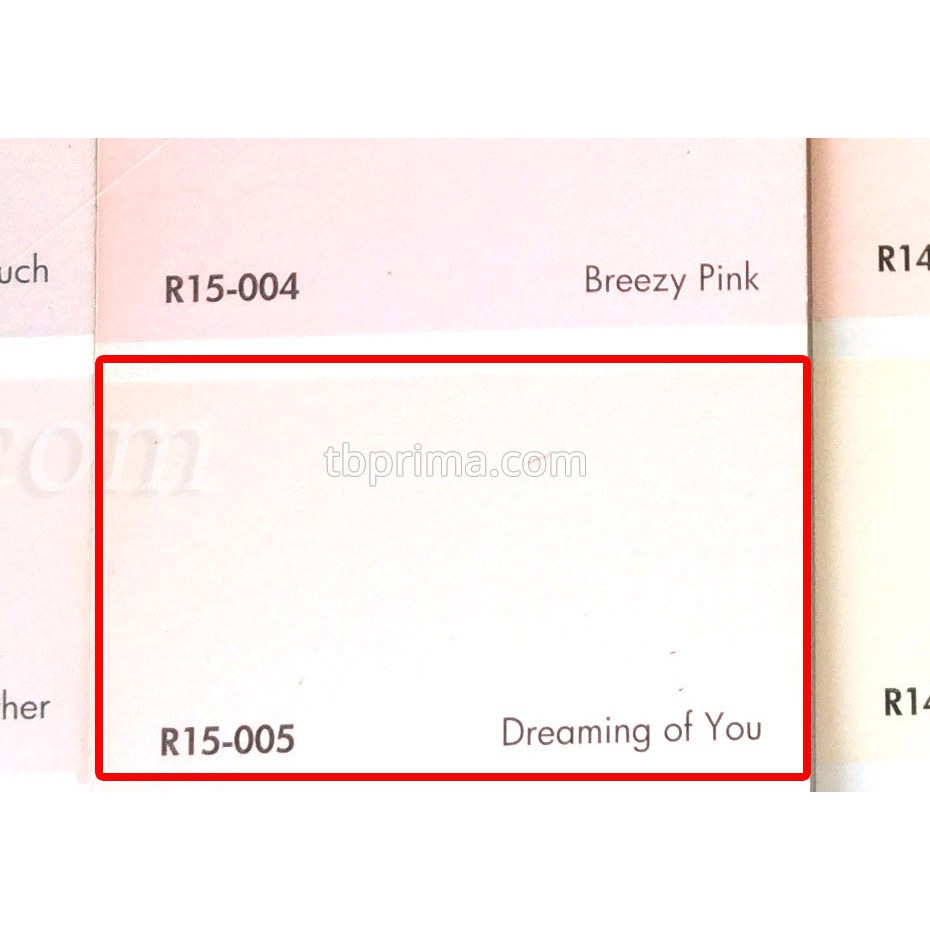 No Drop Tinting R15-005 Dreaming of You 1 kg