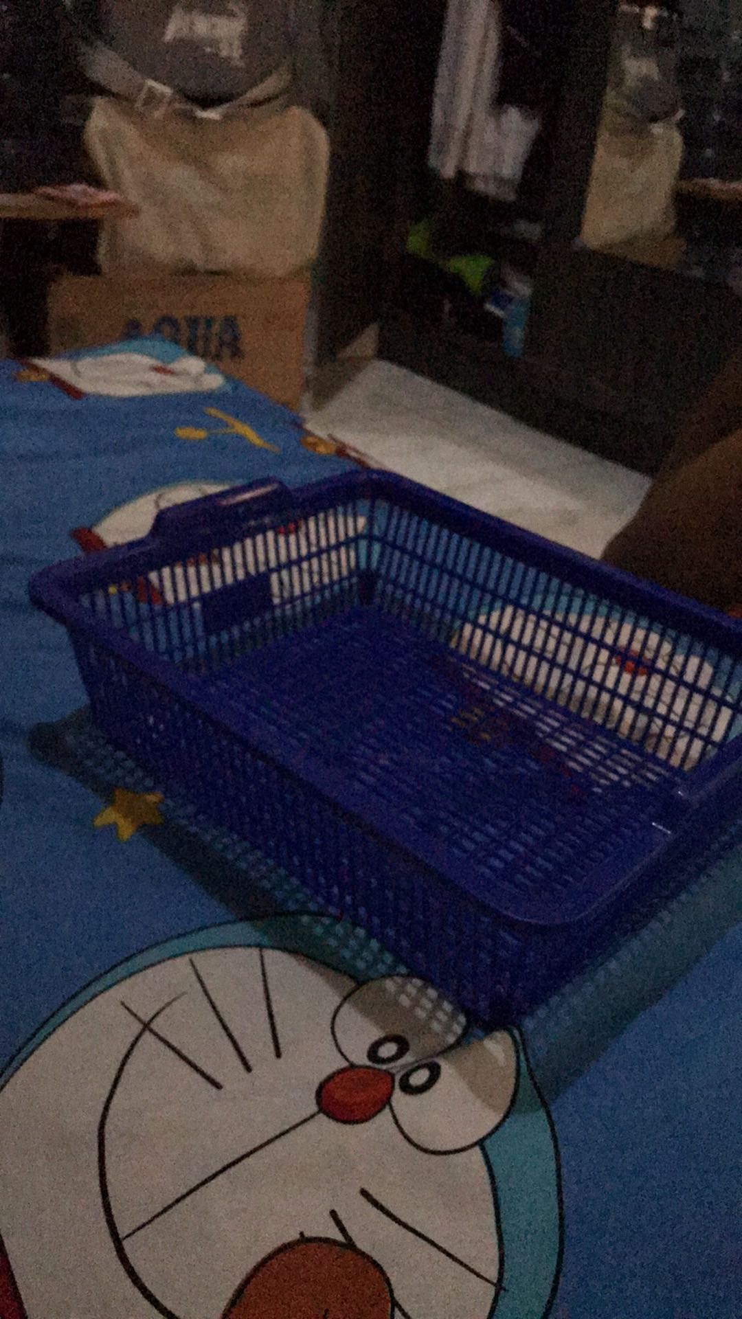 Tempat Surat Ukuran S / Keranjang Plastik Serbaguna Buah Dan Sayur Doky