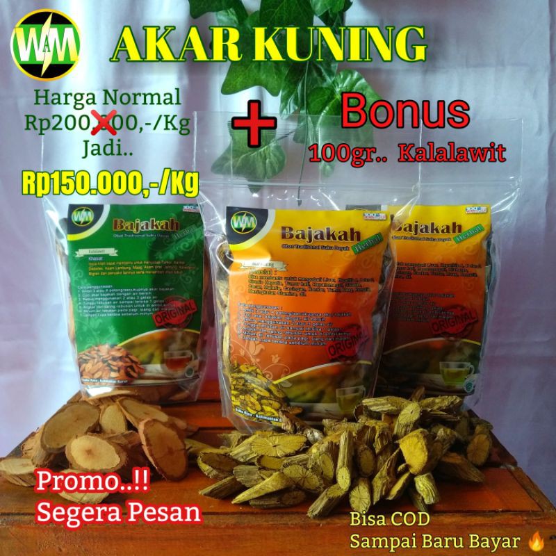 

PROMO.. AKAR KUNING ASLI KALIMANTAN