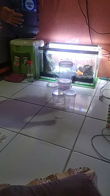 Toples Serbaguna Shinpo 500 Ml Sip