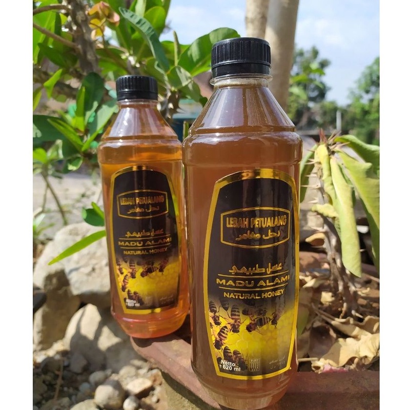 

MADU ALAMI LEBAH PETUALANG 700 GRAM | Natural Honey | Madu Alami Nektar Bunga | Madu