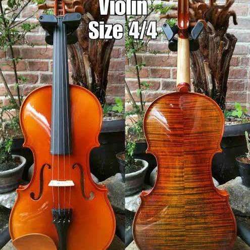 Biola Shifen 401 (NEW) Kualitas Terbaik