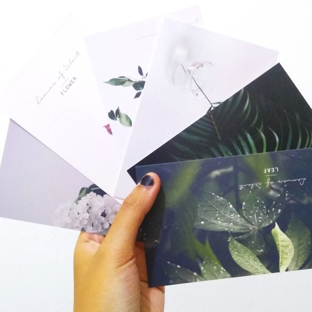 Kartu Pos Postcard Leaf Daun Random