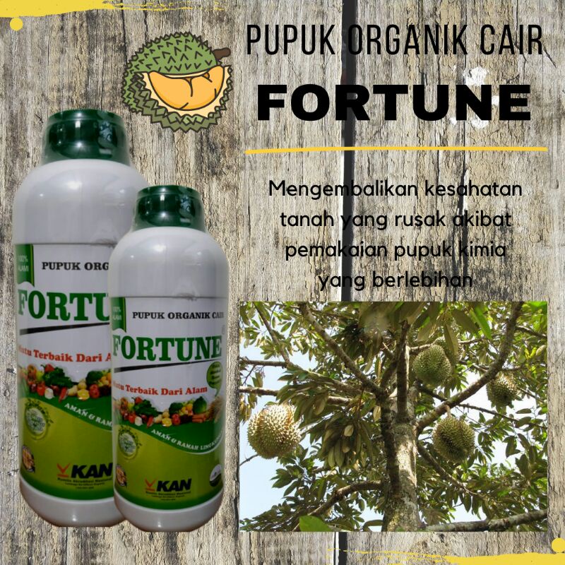 Pupuk Durian Agar Cepat Besar, Pupuk Booster Bibit Buah Durian Musang King