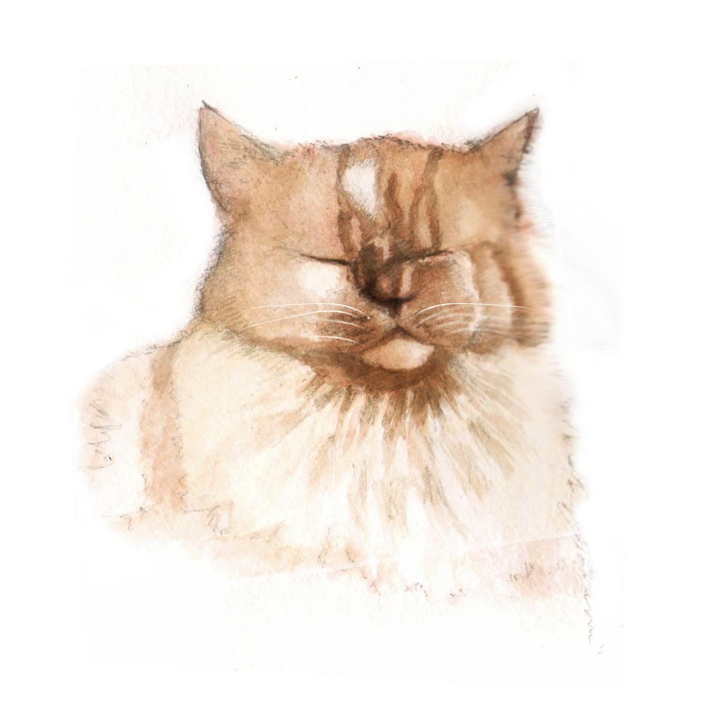 Lukisan Tangan A5 Hewan Peliharaan Gambar Sketsa Kucing