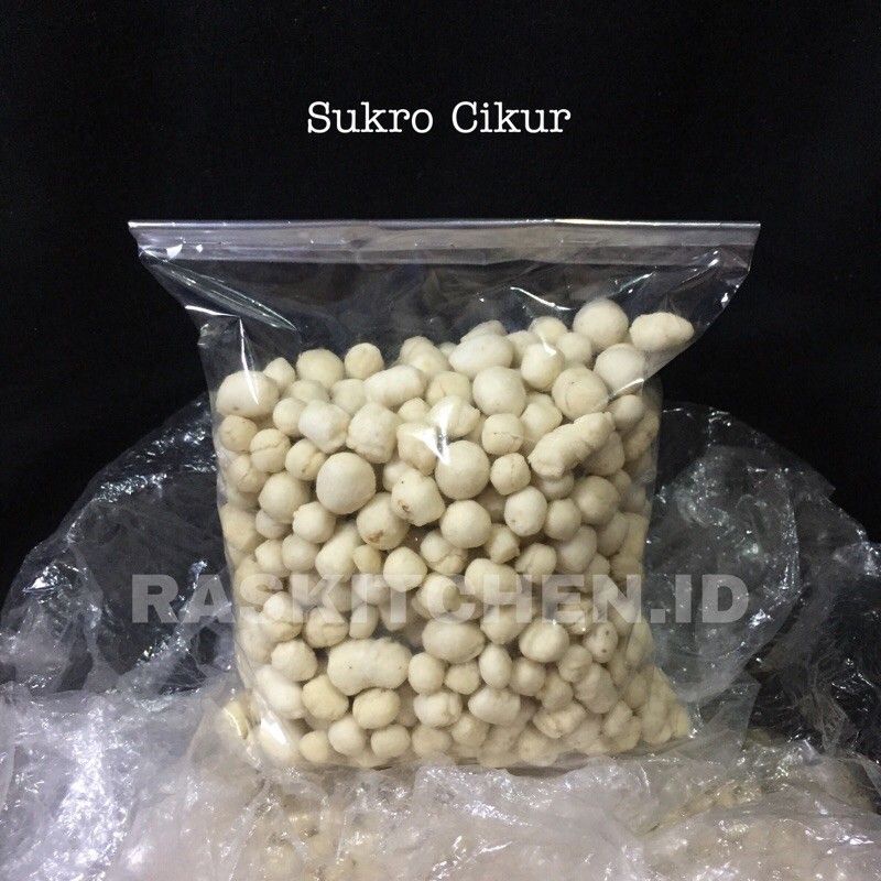 

pilus cikur kencur pilus kletuk asli toping baso acir