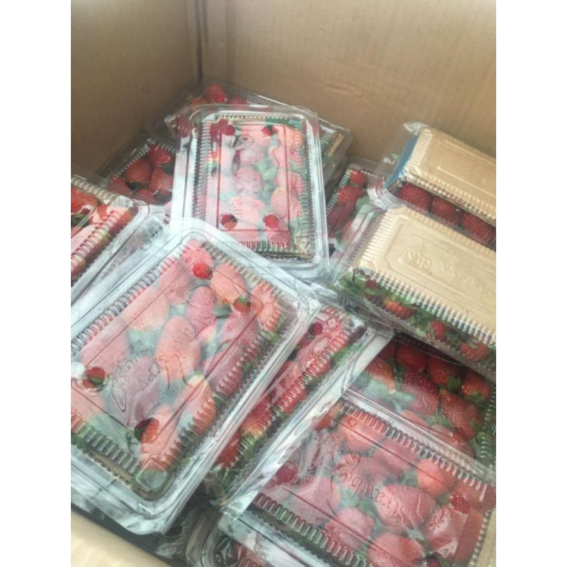 

BUAH STRAWBERRY SEGAR 100g/pack