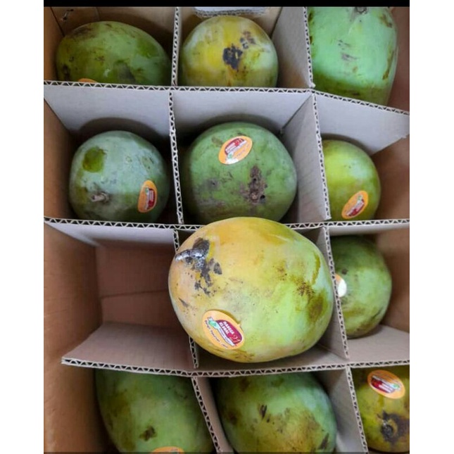 

Mangga Alpukat paket 5kg/dus