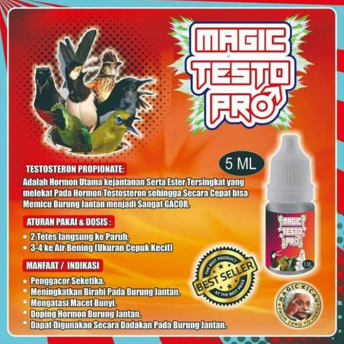 Magic Testo Pro ( MTP )