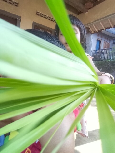 Kemeja Batik Pria Terbaru Size M L Xl Xxl Batik Lengan Panjang Katun Halus