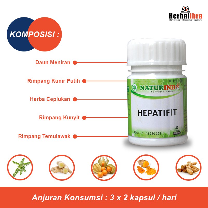 HEPATIFIT obat herbal batu empedu memperbaiki organ hati dan liver nyeri perut kanan dan pencernaan-3