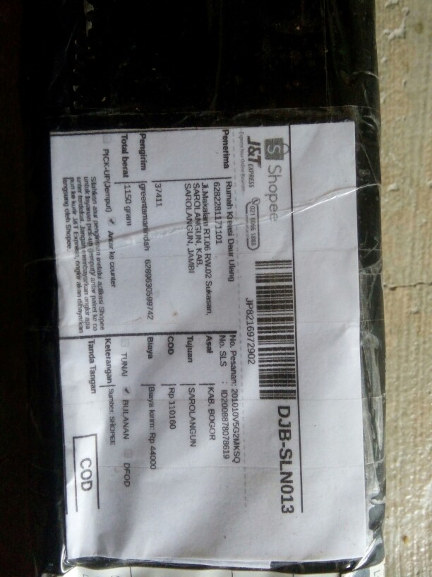 Tanaman Hias Gantung Episcia Merah / Episia Bludru Merah