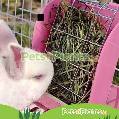 Tempat Makan &amp; Rumput Kelinci Chinchilla Guinea Pig - Timothy Hay Rack