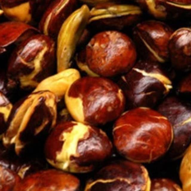 Jengkol mentah  tua tanpa kulit