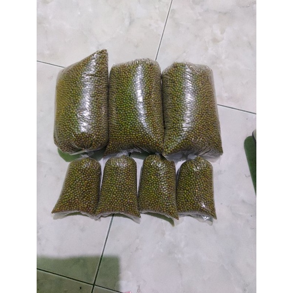 

kacang ijo lokal