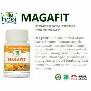 Lambung Hpai Asam