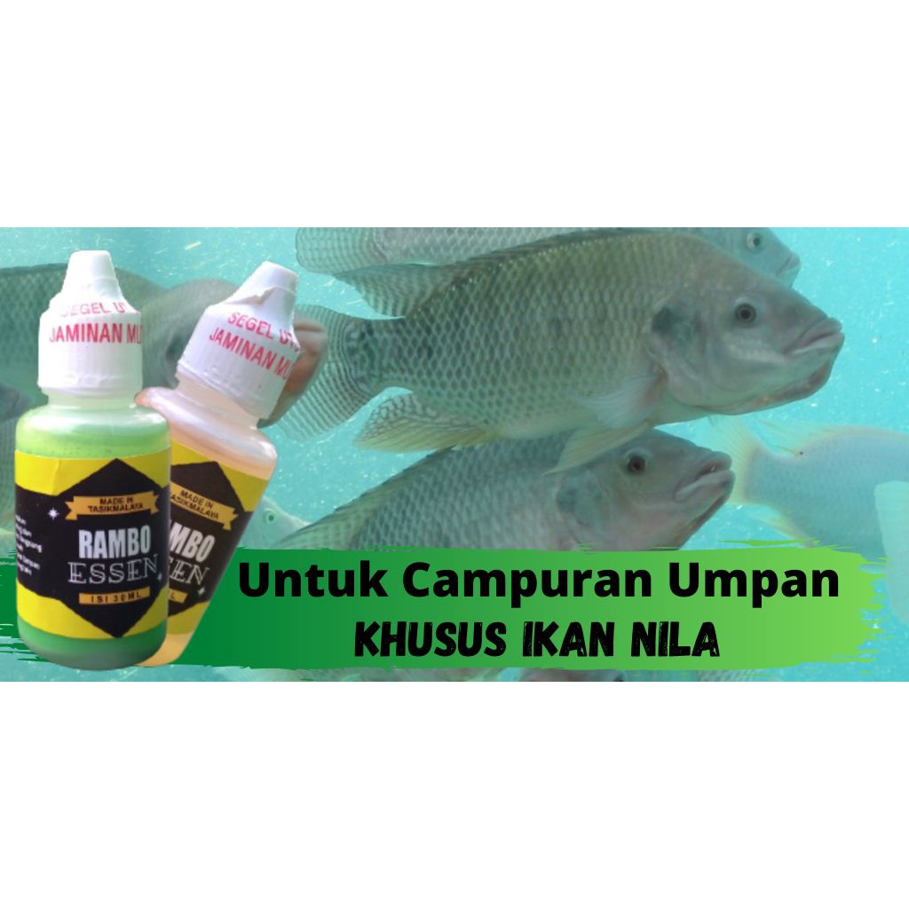 Essen ikan nila mujaer merk rambo