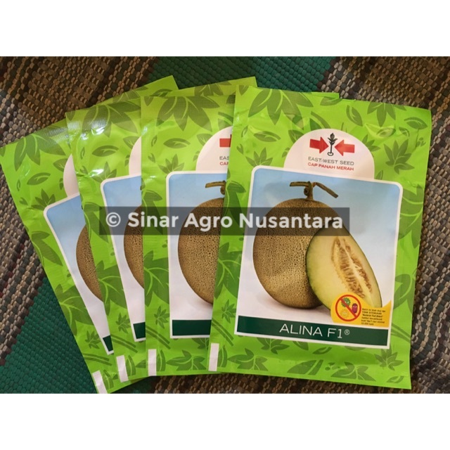 Benih Melon Alina