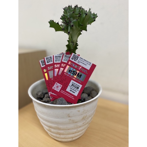 (FREE ONGKIR)Esim Smartfren Nonstop 31GB, Unlimited, 90GB Setahun