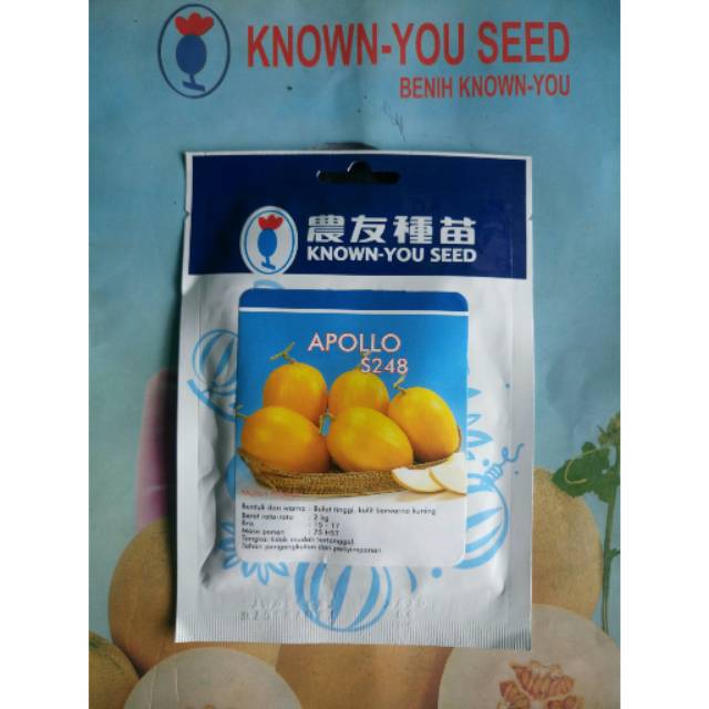 Benih Biji Bibit Melon APOLLO 20 gram