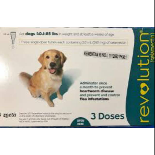 REVOLUTION DOG TEAL (LARGE DOG 21-40 KG)