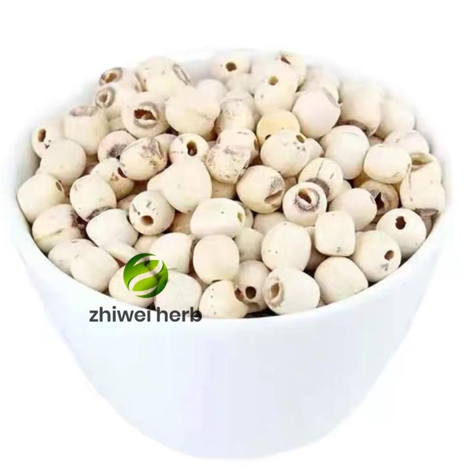 

Promo Sale--100gram Biji Teratai / Lotus Seed / Lien Zi/White Lotus seed