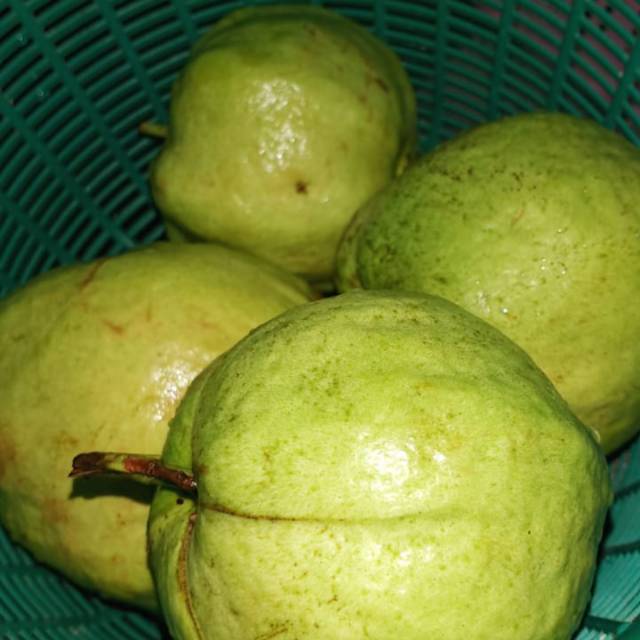 

Jambu kristal