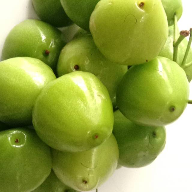 

Buah Jambu air madu hijau 1 kg